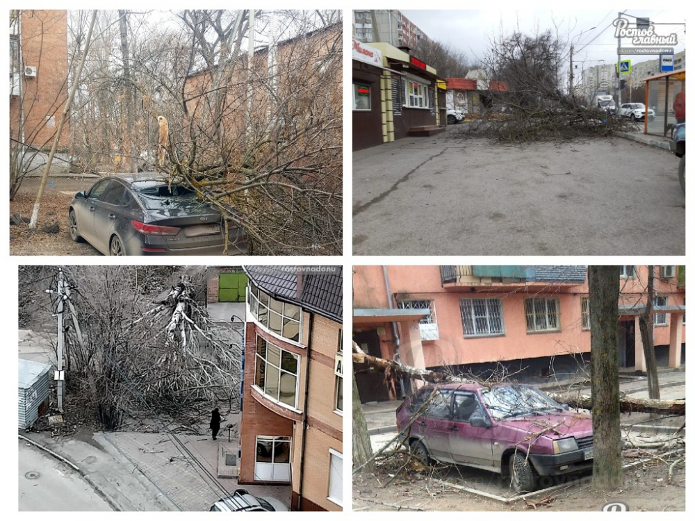 В Ростове ветер ломал деревья и опрокидывал жбаны