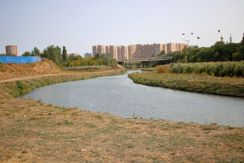 Фото темерника в ростове