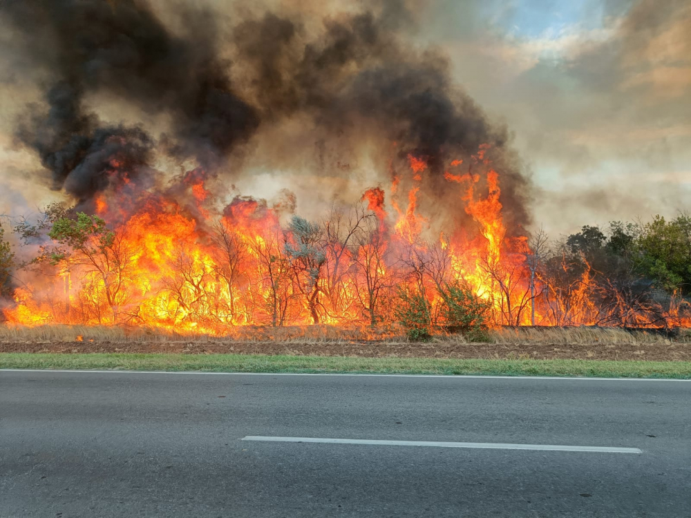 В Константиновском районе снова горит сухая трава