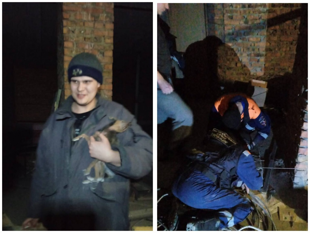 В Ростове спасатели вытащили той-терьера из вентиляционной шахты многоэтажного дома