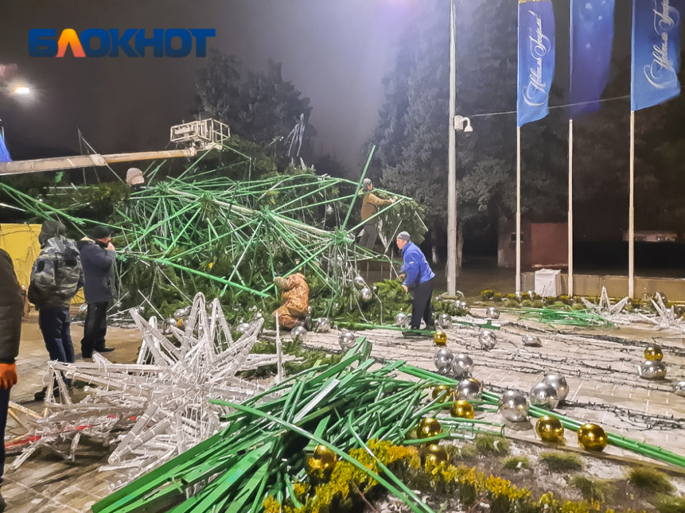 В Ростове укрепят новогоднюю елку, упавшую от ветра 14 января