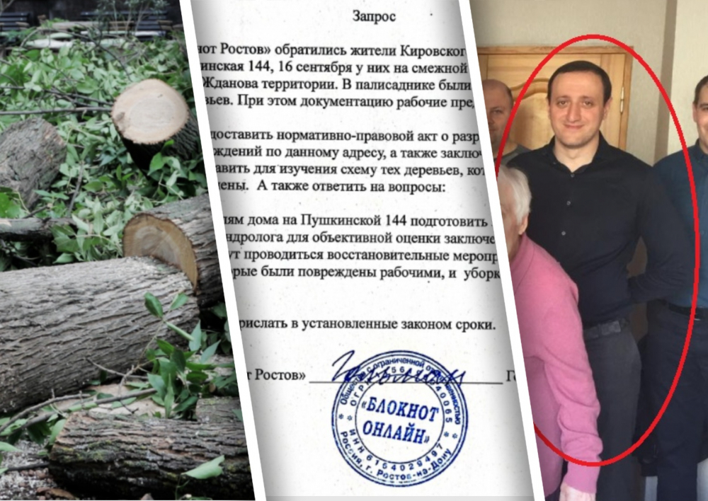 Администрация Кировского района проигнорировала вопрос о вырубке деревьев на Пушкинской