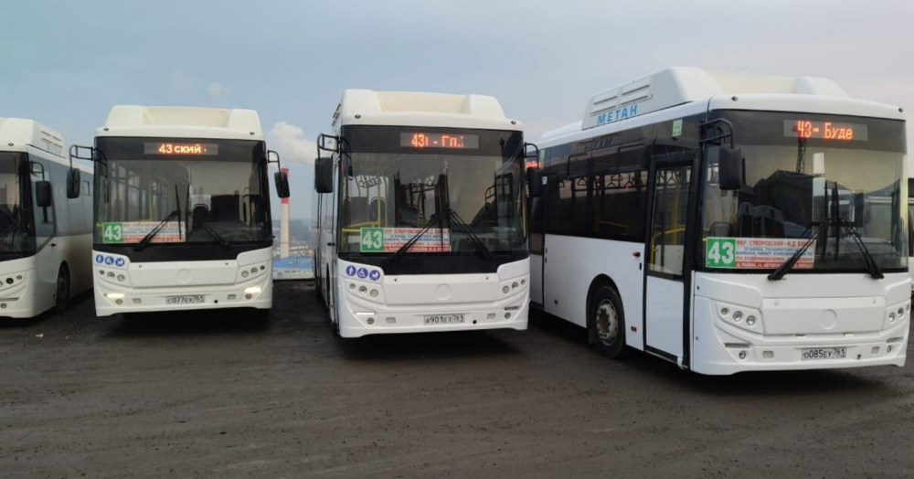 В Ростове заменили автобусы № 43 до Суворовского на вместительные