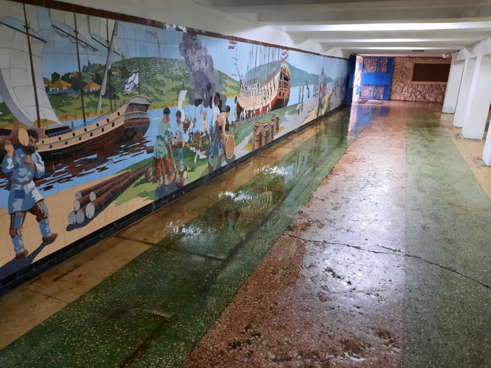 Ливнем в Ростове затопило мозаику в подземных переходах