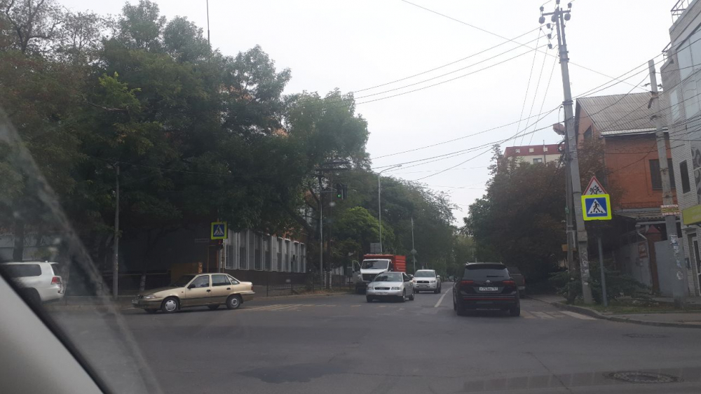 После публикации «Блокнот Ростов» в городе убрали закрывающие светофор ветки