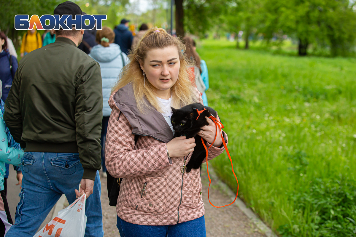 Первая миля ростов. Парк первая миля Ростов.