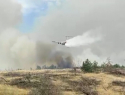 «Россети» опровергли слова губернатора Голубева о причинах крупного лесного пожара