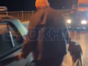 Водитель привязал собаку к бамперу и тянул по дороге в ростовском Донецке