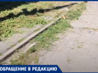 Хотели как лучше: в Ростове после покоса травы тротуар стал непроходимым