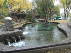 Вода в родниках Ростова не соответствует нормам