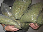  У жителя Сальска изъяли 4 килограмма марихуаны