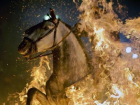 Шесть лошадей погибли в полыхающем конном клубе Ростова