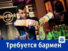 Ростовскому ночному заведению требуется бармен