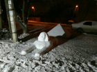 Сооруженные умелыми руками Сфинкс с пирамидой Хеопса на снежной поляне Ростова восхитили горожан