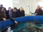 Нетрадиционные виды рыб и растений собрались выращивать в новом аквакомплексе Ростовской области