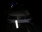 Пешеход погиб под колесами иномарки на трассе в Ростовской области
