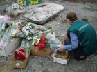 На Дону уничтожили 75 ящиков зараженных  цветов 