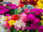 Ростовчанки назвали главный цветок-символ Международного женского дня