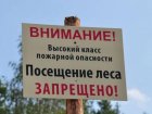 Жителям Ростовской области запретили посещать леса