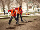 В парках Ростова высадят 736 деревьев и кустарников 9 апреля 