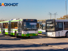 Власти планируют пресечь хаотичное размещение рекламы на окнах автобусов в Ростове