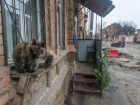 Ростовчане утопают в грязи и "ломают ноги" в самом центре столицы