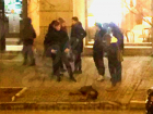 Ростовчане на белой иномарке сбили собаку в центре Ростова и смотрели на ее предсмертные муки