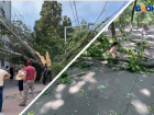 Ураганный ветер в Ростове повалил десятки деревьев и повредил машины