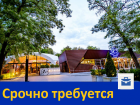 Срочно требуется сотрудник в ресторан "Ялла"