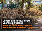 Спустя два месяца после урагана в Ростове жители СЖМ живут среди завалов из сломанных деревьев