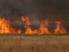 Огнем и пудовыми кулаками выживают фермеров с их земли в «Чертковской Кущевке»
