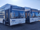 Автопарк ростовских перевозчиков пополнят новыми автобусами белорусского производства