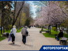 В Ростов пришла яркая, красочная и теплая весна: сочный фоторепортаж