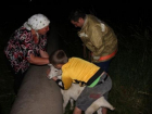 В Ростовской области спасатели вызволили козу из бетонного столба