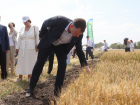 Власти ввели в 10 районах Ростовской области режим ЧС из-за аномальной засухи 