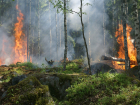 Штормовое предупреждение объявили в Ростовской области из-за высокой пожароопасности 14 июня