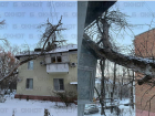 Дерево упало на балкон жилого дома в Ростове