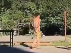 Обнаженный мужчина с веточкой промеж ног прогулялся по детской площадке Ростова и попал на видео