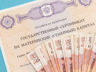 В Ростове осудили мужчину, который обналичил материнский капитал 21 раз