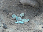 Старинный клад с медными монетами раскопали у стадиона под Ростовом