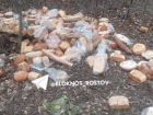 В Новошахтинске местные жители обнаружили свалку хлеба возле Братской могилы