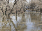 Угроза весеннего разлива рек пугает жителей Ростовской области