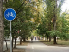 Почему Ростов остается городом велосипедного беспредела
