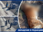 В Ростовской области наркокурьер отравил 10 собак