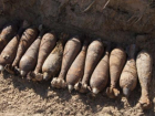 В Морозовском районе фермер нашел более 200 мин и снарядов времен ВОВ