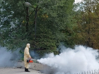 Клещей в парках Ростова начали уничтожать при помощи «горячего тумана»