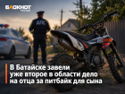 В Батайске завели уже второе в области дело на отца за питбайк для сына