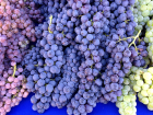Из-за аномальной жары в Ростовской области вдвое сократился урожай винограда