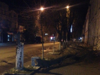 Водитель легковушки «насмерть» сбил дерево, мирно растущее у перекрестка под Ростовом