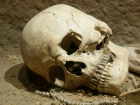 На территории очистных сооружений в Ростове нашли череп